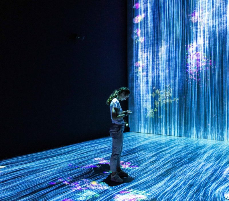 machine learning engineers